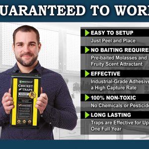 MaxGuard Extra Large Cricket Traps (8 Traps) | Non-Toxic Extra Sticky Glue Board Pre-Baited Cricket Attractant | Trap & Kill House Crickets, Insects, Spiders, Bugs |